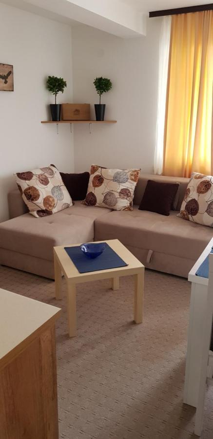 Dobricin Konak, Apartman 202 科帕奥尼克 外观 照片