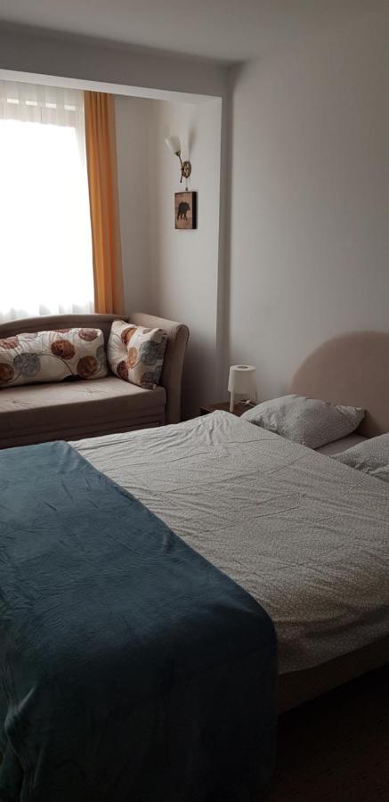 Dobricin Konak, Apartman 202 科帕奥尼克 外观 照片
