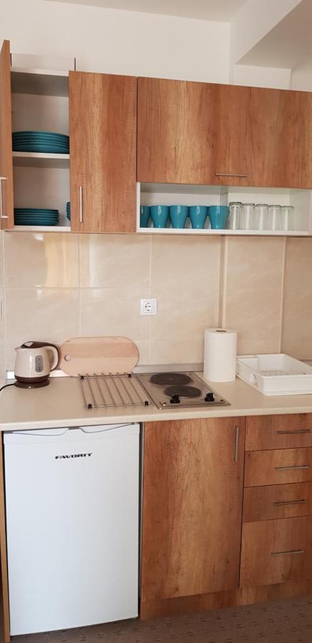 Dobricin Konak, Apartman 202 科帕奥尼克 外观 照片