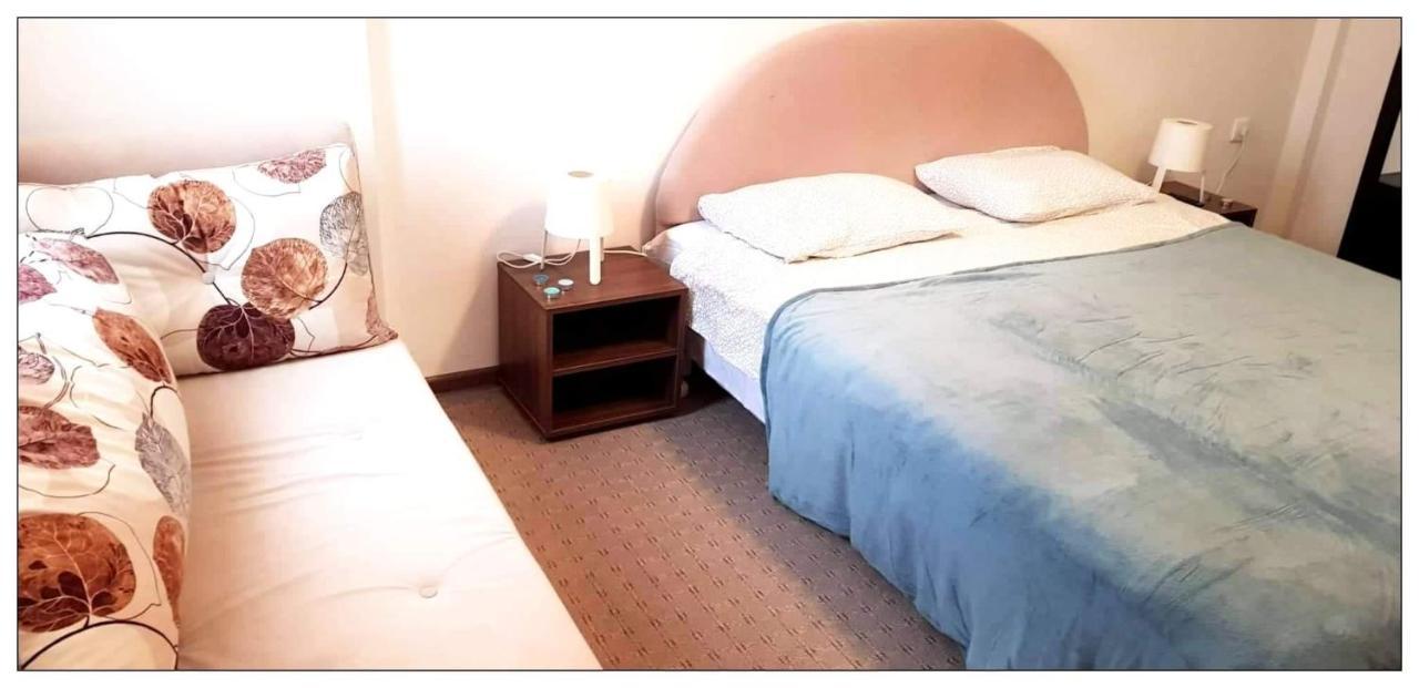 Dobricin Konak, Apartman 202 科帕奥尼克 外观 照片
