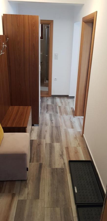 Dobricin Konak, Apartman 202 科帕奥尼克 外观 照片