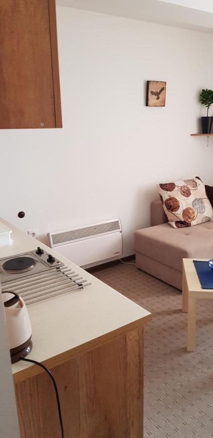 Dobricin Konak, Apartman 202 科帕奥尼克 外观 照片